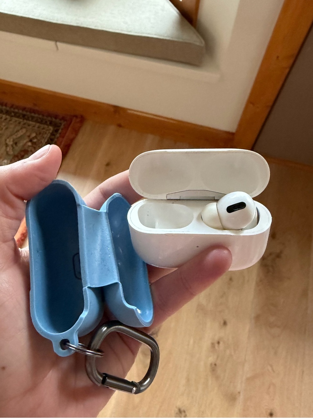Apple AirPods Pro (1st Gen) Missing One AirPod